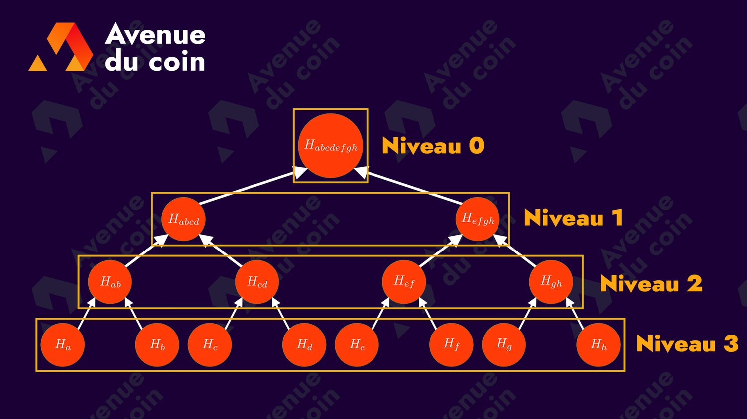 niveaux d'un arbre de hauteur 3