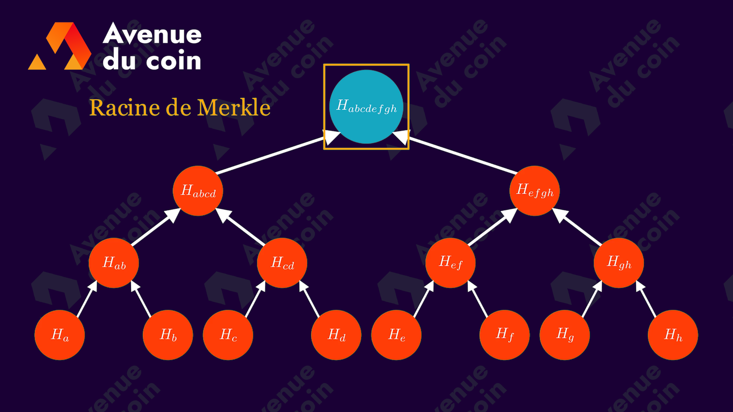 Merkle Root