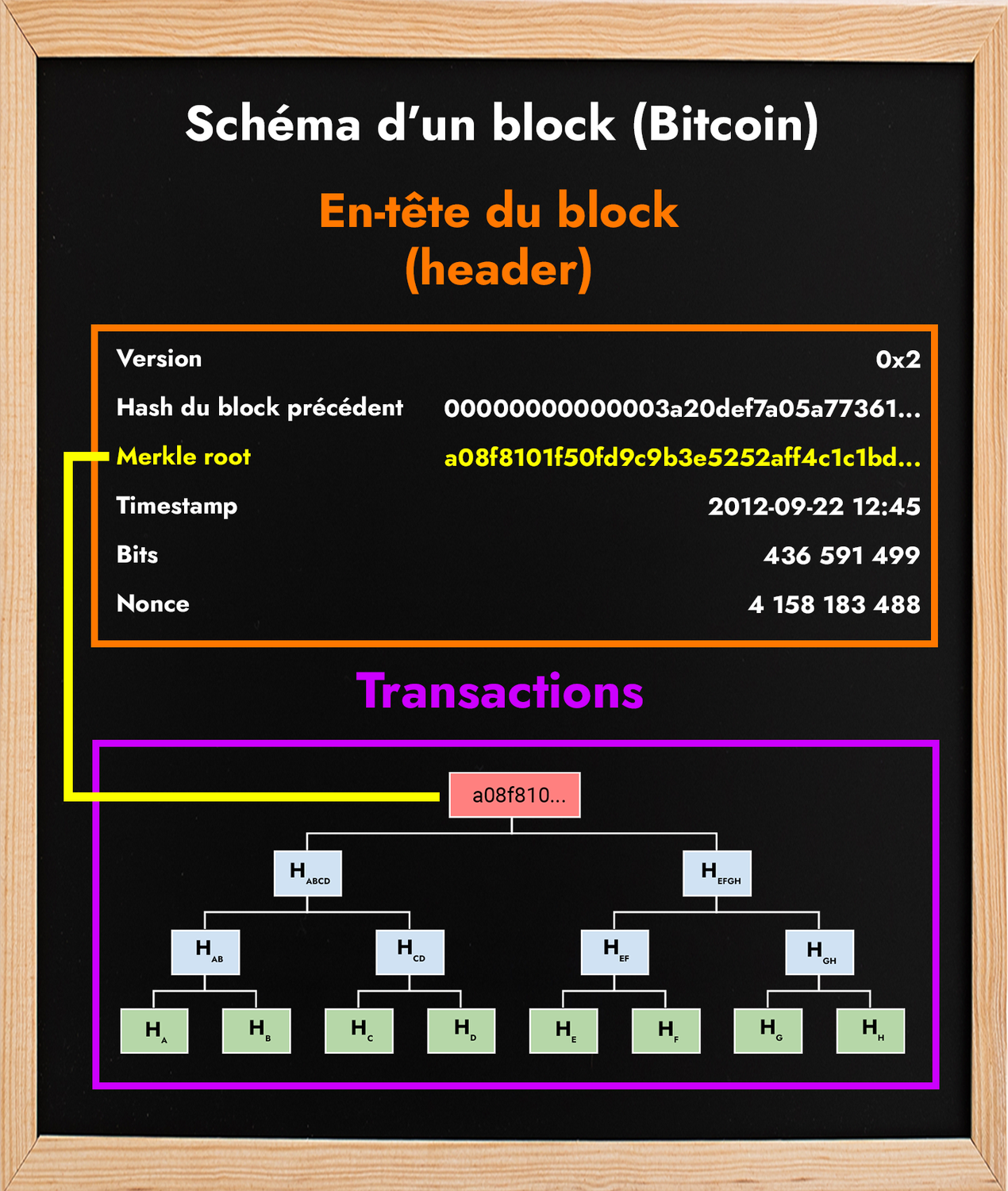 Schéma d'un block (blockchain Bitcoin)