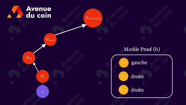 vérification d'une Merkle Proof